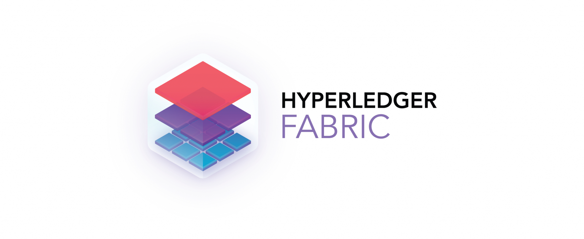 hyperledger fabric cryptocurrency